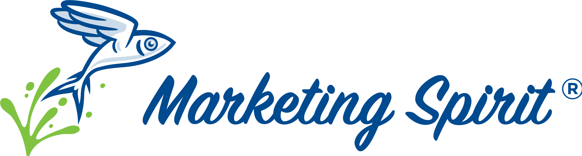 Marketing Spirit